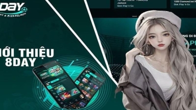 Nhà cái 8day - Sân chơi cung cấp đa dạng tỷ lệ cược khác nhau