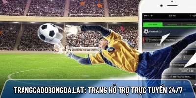 Trangcadobongda.lat: Trang cá cược bóng đá hỗ trợ trực tuyến 24/7